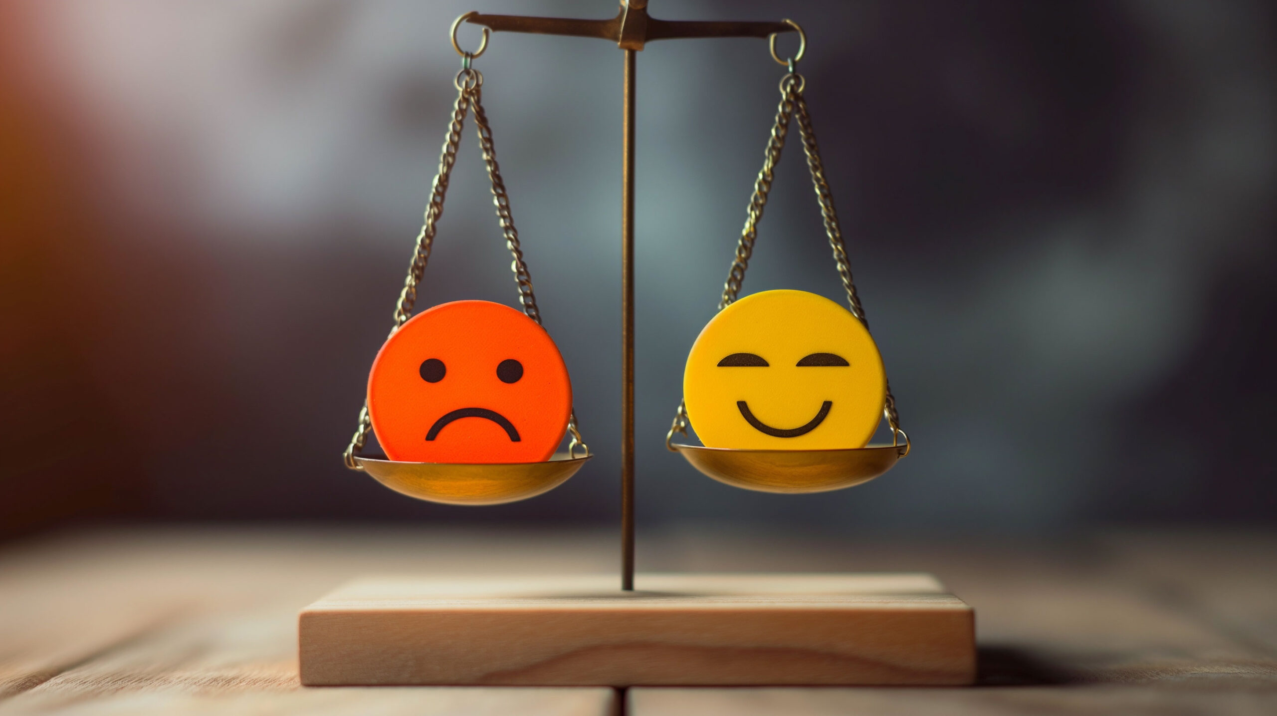 Read more about the article De Wet Van Behoud Van Ellende