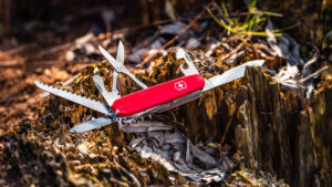 Read more about the article Het Streven Voorbij