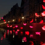 De Lichtjes Op Het Water