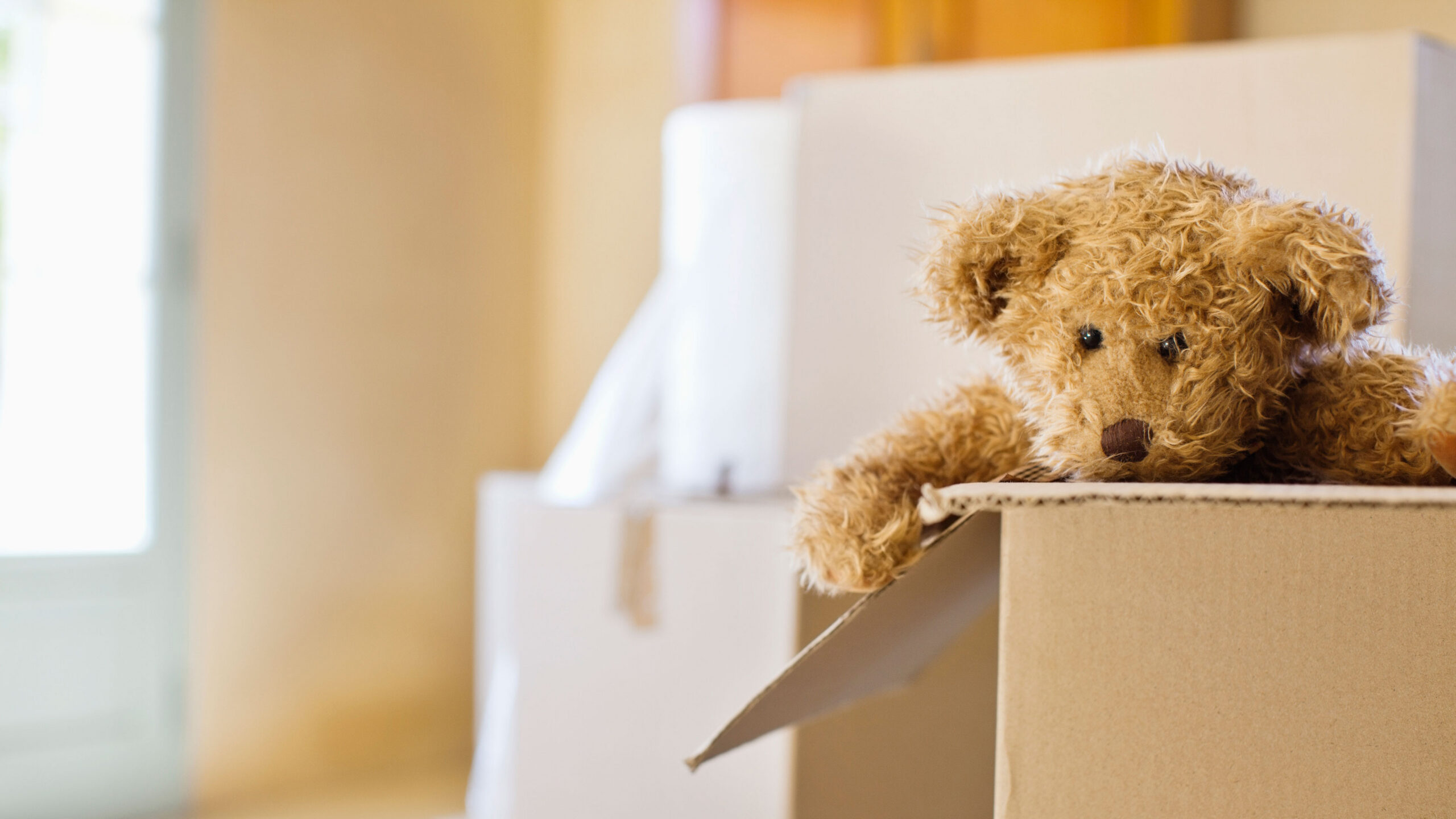 Read more about the article Ouder Worden Zuigt – Steeds Meer